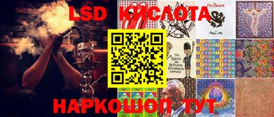 индика Бердск