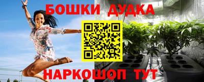 индика Бердск