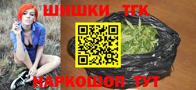 индика Бердск