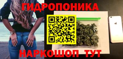 индика Бердск