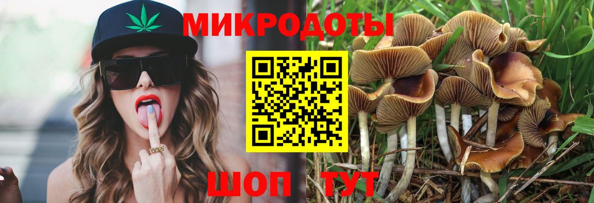 Псилоцибиновые грибы Psilocybine cubensis  Вход с VPN  Кропоткин 